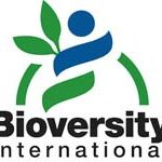 Accounting Internship Student at Alliance of Bioversity International August, 2023